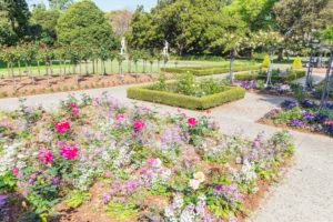 Royal Botanic Gardens, Sydney, New South Wales, Australia, Royal Botanic Gardens, Sydney, New South Wales, Australia,